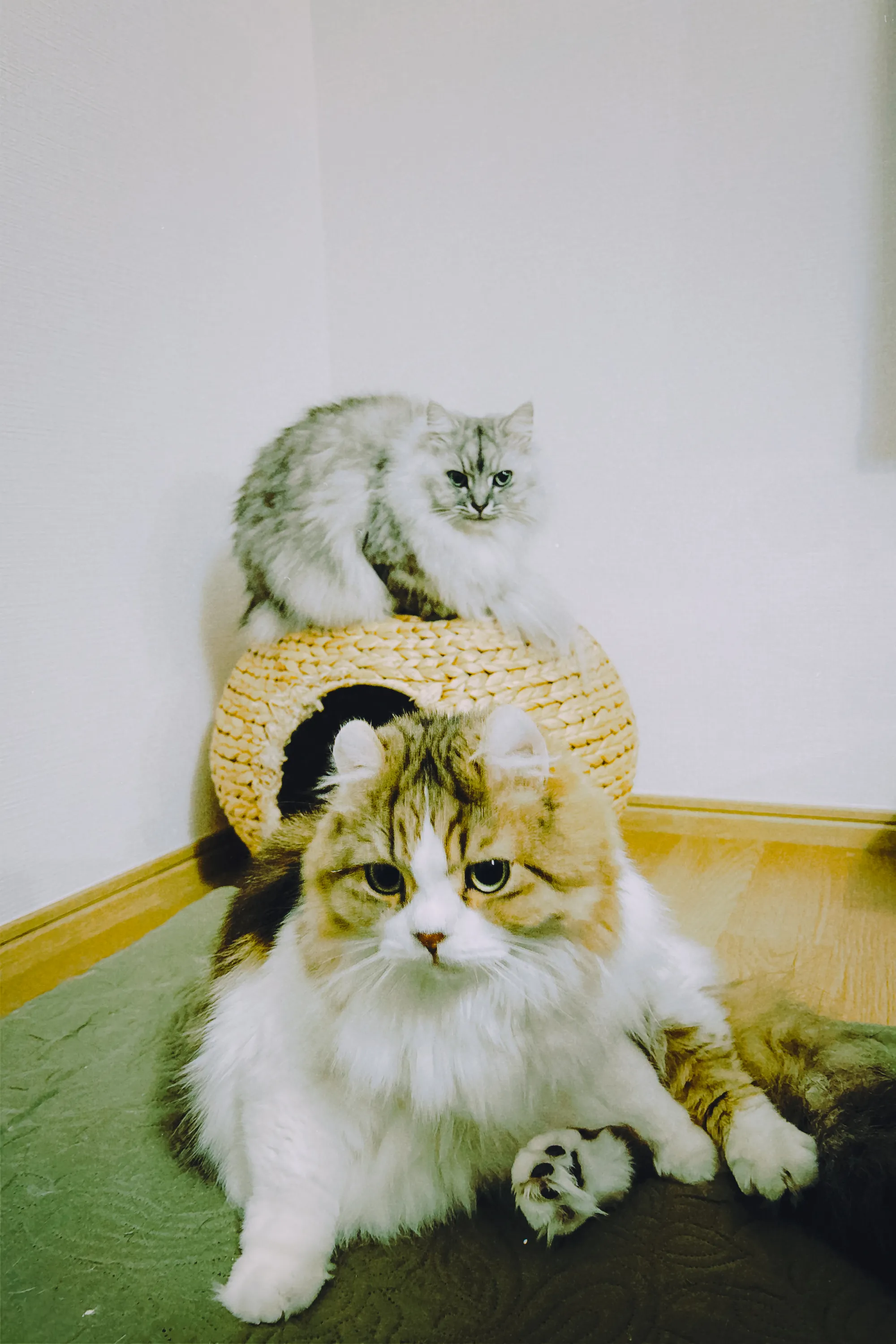 2026 — 01 — 06に撮影したうみとあおの写真